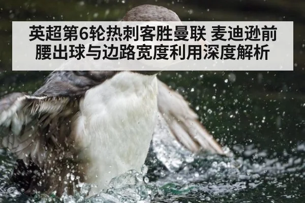 英超第6轮热刺客胜曼联 麦迪逊前腰出球与边路宽度利用深度解析 - B-Sports